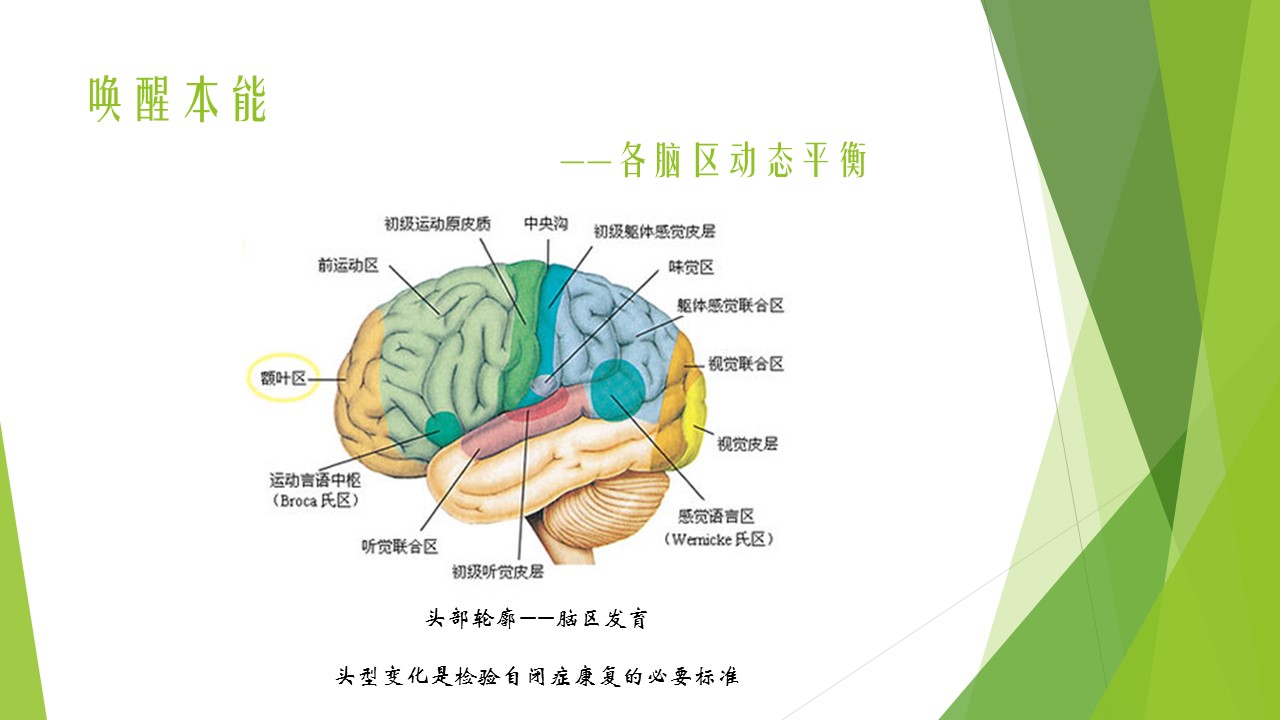 自閉癥治療