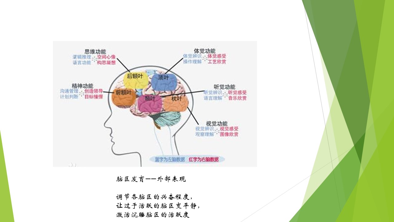 自閉癥治療